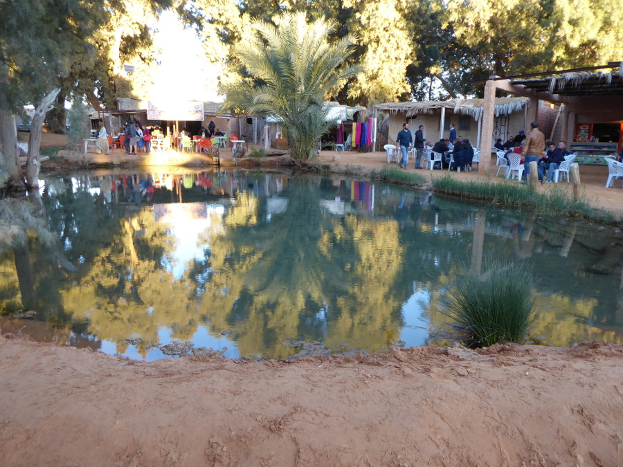 Naravni bazen tople vode v oazi Ksar Ghilane