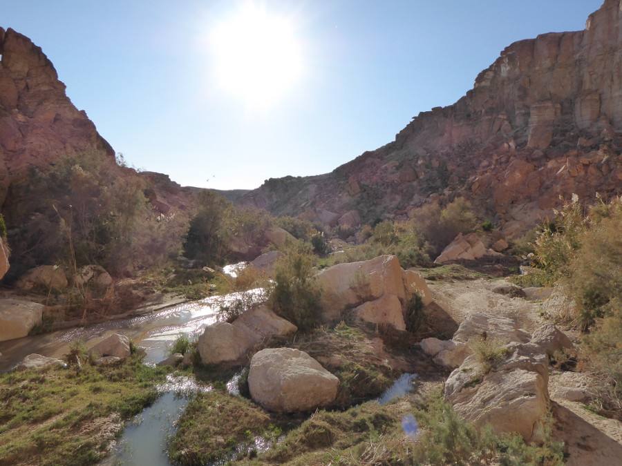 Postanek pred vasico Tamaqzah