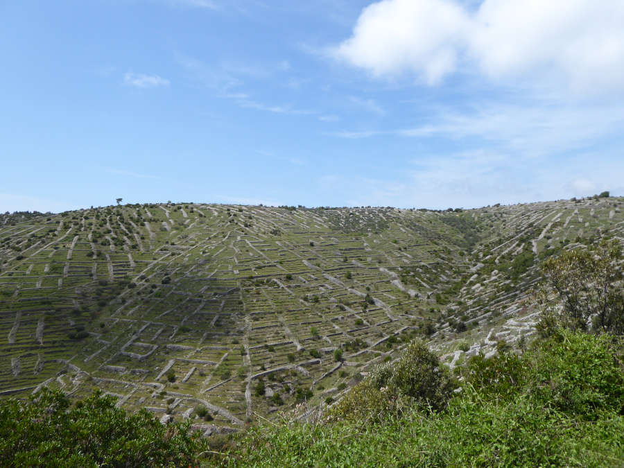 Zanimivo ograjene parcele