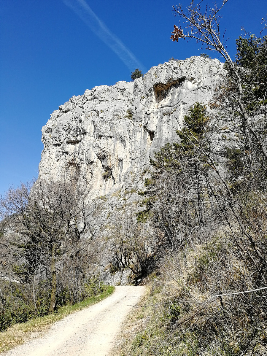 Pogled na strmo pobočje Kraškega roba