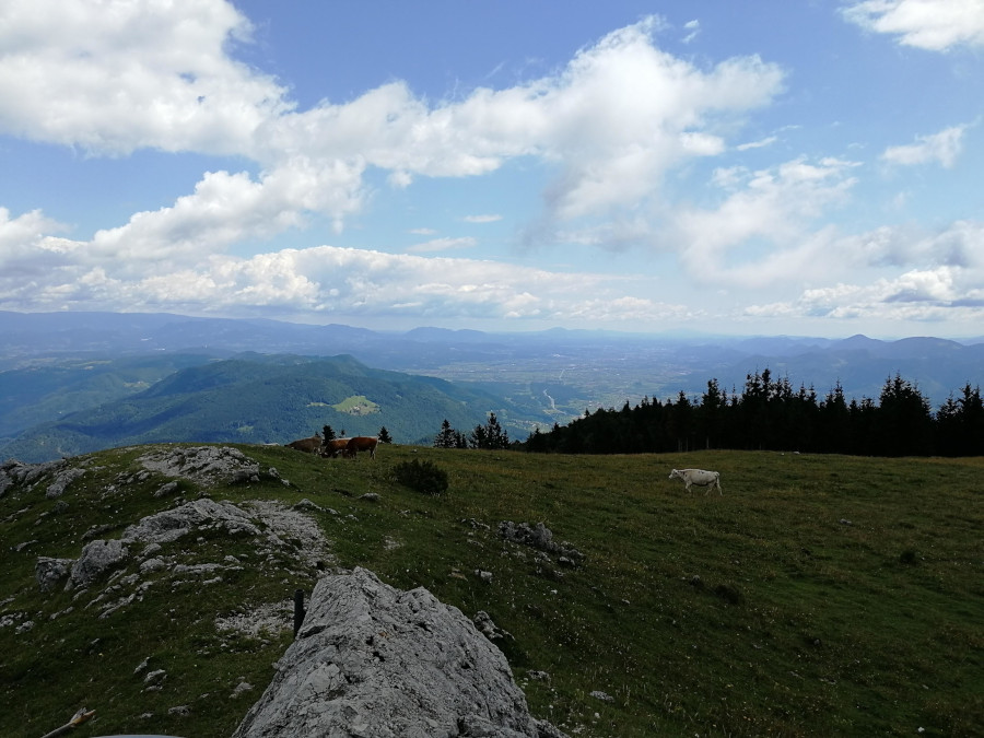 Pogled z Golega vrha