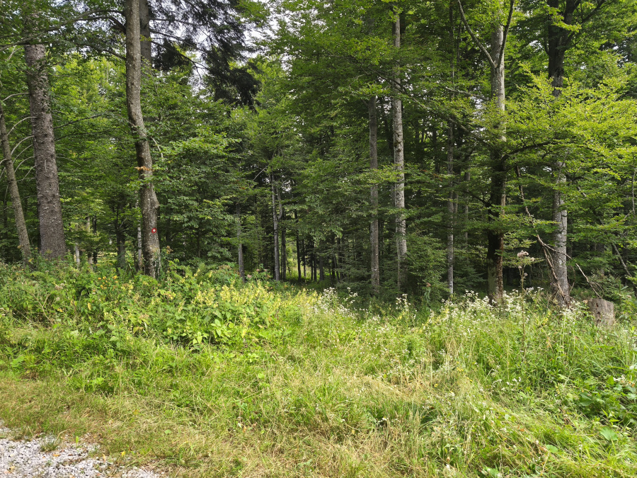 Pri markaciji zavijemo levo