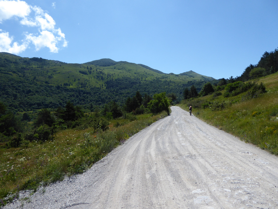 Kolovoz proti Nanosu