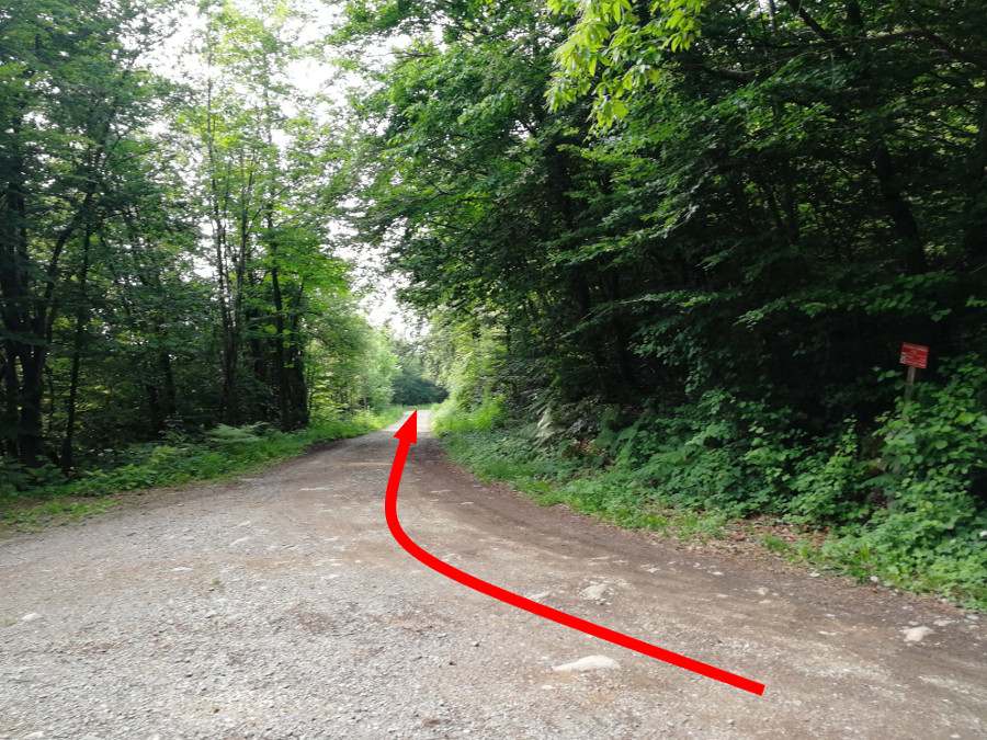 Križišče proti Šinkovemu Turnu