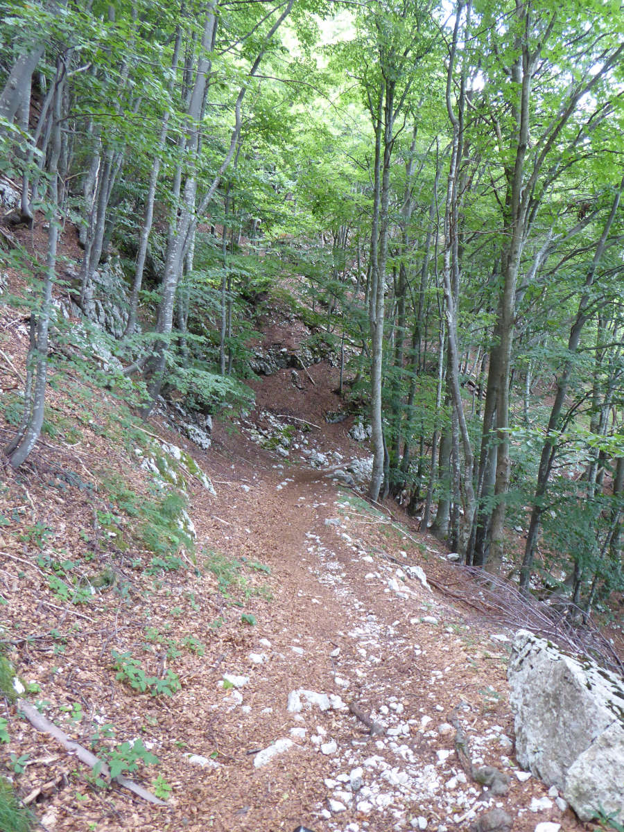 Začetek mulatjere z Razorja