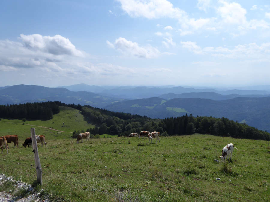 Razgled proti dolini