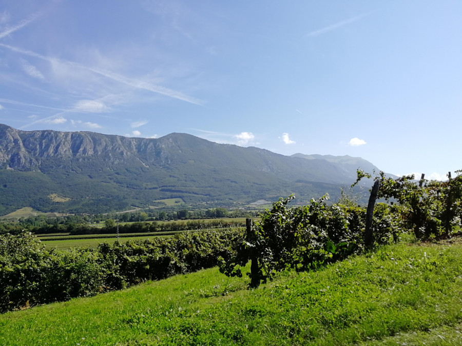 Pogled proti pogorju Nanosa