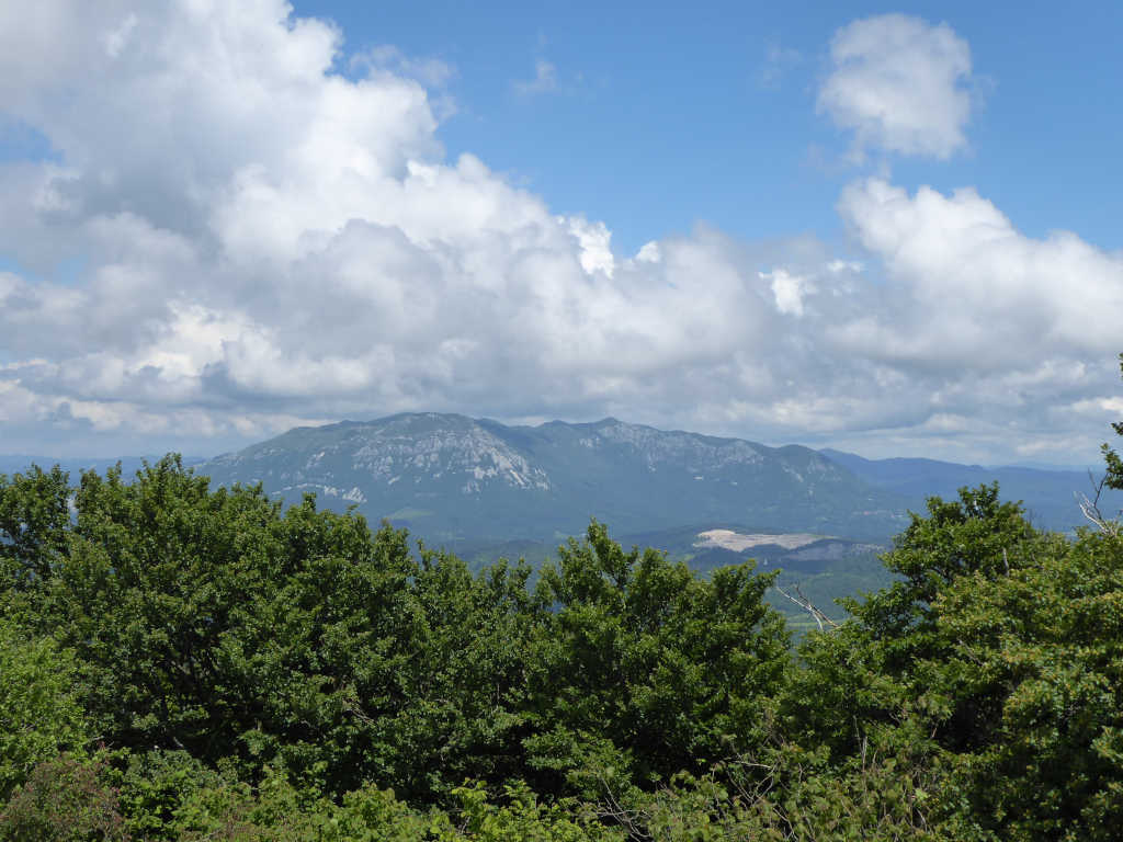 Slavnik iz Vremščice